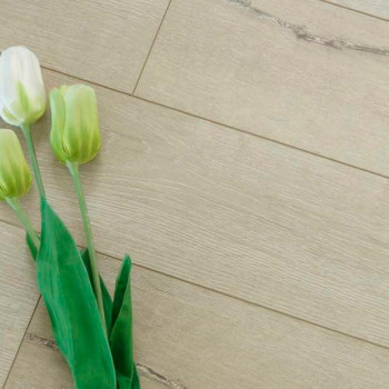 Proteco Elegance PE 203 Дуб Неаполь 33 класс, 12 мм