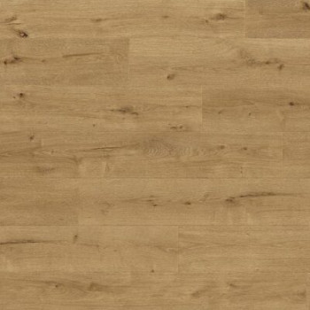 Balterio Traditions 019 Лесной дуб 32 класс 9 мм