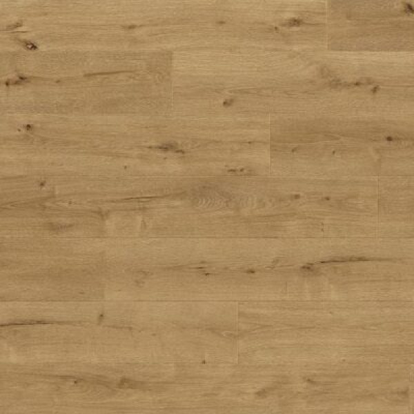 Balterio Traditions 019 Лесной дуб 32 класс 9 мм
