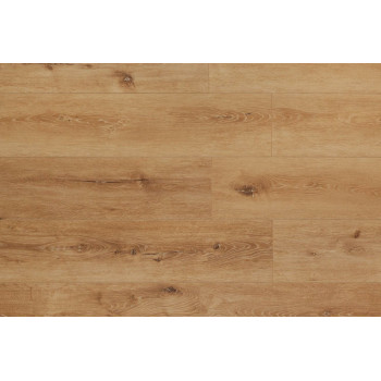 Belfloor Universal 8 BF80-002-UN