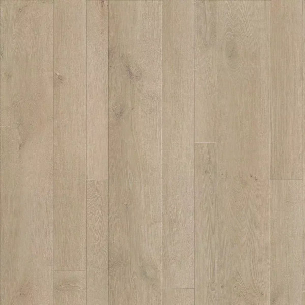 Faus Elegance Divino Oak S172494