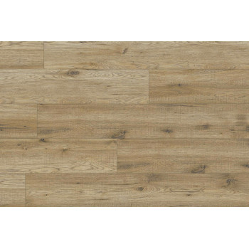 Kaindl Standart Hickory Kansas 34077