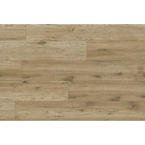 Kaindl Standart Hickory Kansas 34077