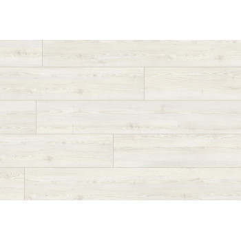 Kaindl Standart Pine Kodiak 34308