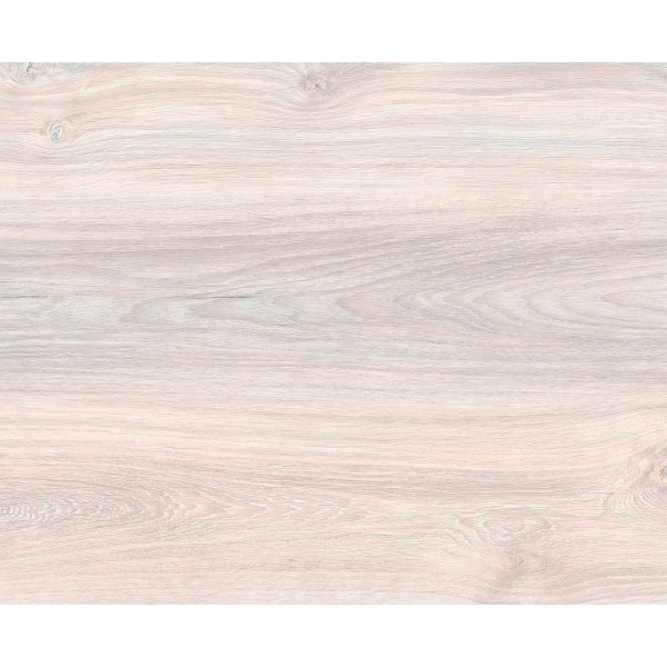 Kastamonu Ruby FP566 Веласкес