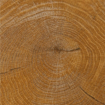Luxury Fancy Wood FW70635 Кавела 34 класс, 10 мм
