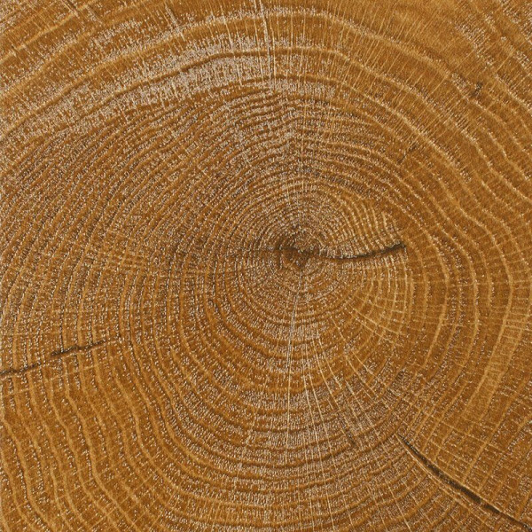 Luxury Fancy Wood FW70635 Кавела 34 класс, 10 мм
