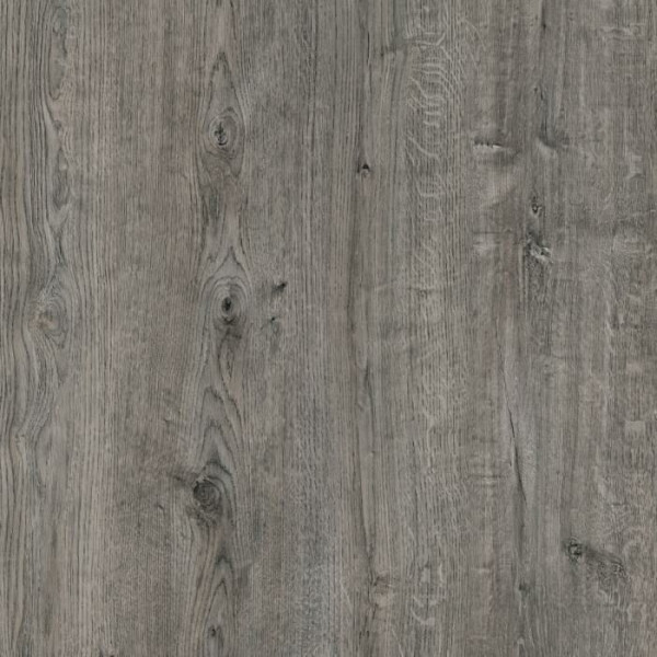 Sunfloor 110 Дуб Капри 33 класс 12 мм