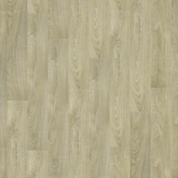 Tarkett Woodstock Family Oak Segway 504044144