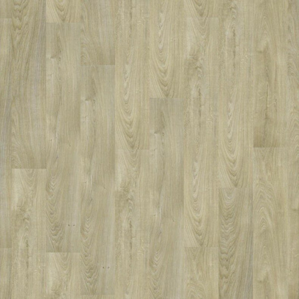 Tarkett Woodstock Family Oak Segway 504044144