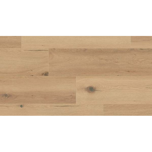 Terhurne Trend Line Дуб Миндально-Бежевый G08 1101021684