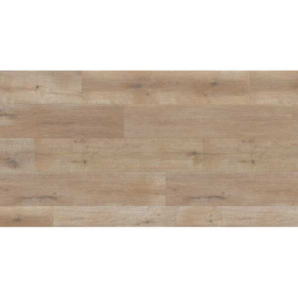 Terhurne Trend Line Вяз Кафе-бар G03 1101020894