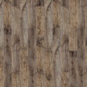 Timber Forester Дуб Альгеро