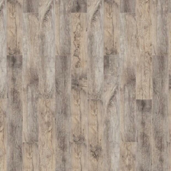 Timber Forester Дуб Ористано