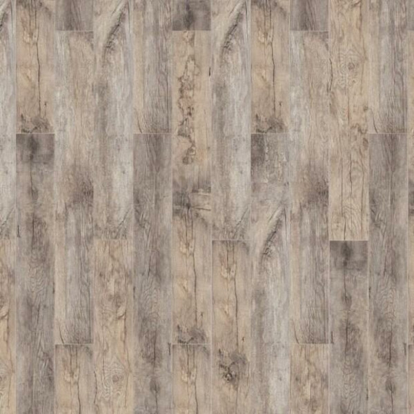 Timber Forester Дуб Ористано