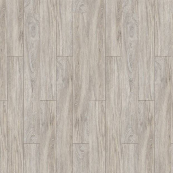 Timber Forester Дуб Ротондо
