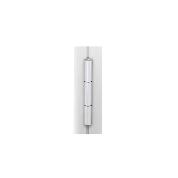 Петля Rollenband NG Realit RW64 наружнее открывание, неокрашенная-7