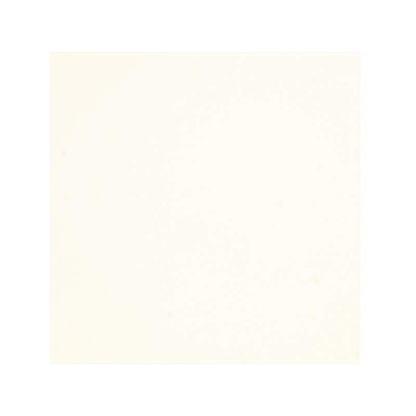 Плита МДФ ALVIC ZENIT 1240*18*2750 мм, суперматовый белый (Blanco Supermat ZENIT)-1