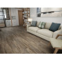 SPC ламинат Floorwood Joy Белиз 8805