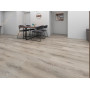 SPC ламинат Floorwood Unit Дуб Эриус 5506